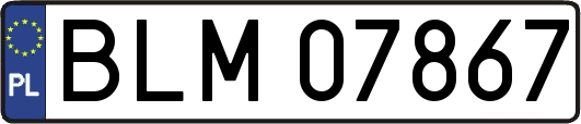 BLM07867