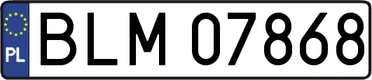 BLM07868
