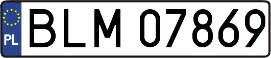 BLM07869