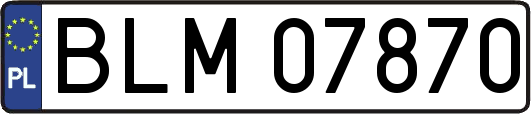 BLM07870