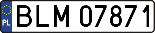 BLM07871