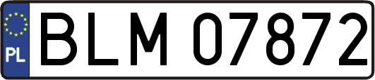 BLM07872