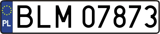 BLM07873