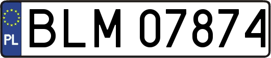 BLM07874