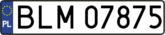 BLM07875