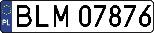 BLM07876