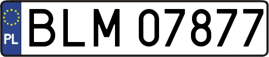 BLM07877