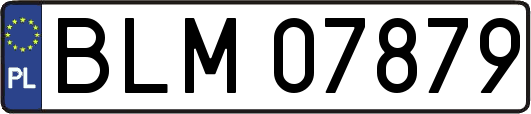 BLM07879
