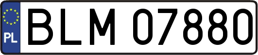BLM07880