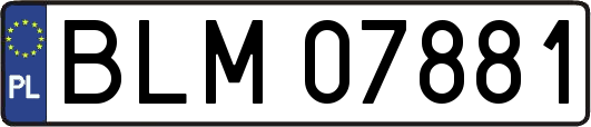 BLM07881