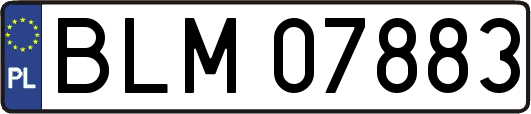 BLM07883