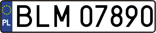 BLM07890