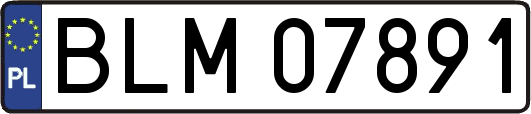 BLM07891