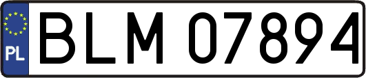 BLM07894