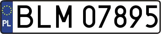 BLM07895