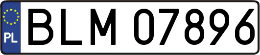 BLM07896