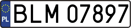 BLM07897