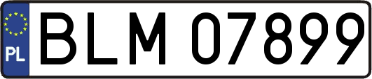 BLM07899
