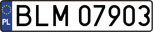 BLM07903