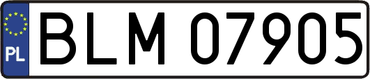 BLM07905