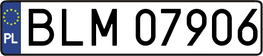 BLM07906