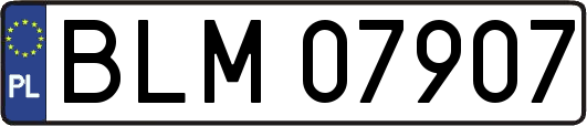 BLM07907