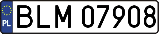 BLM07908