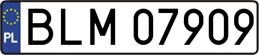 BLM07909