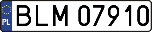 BLM07910