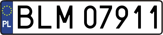 BLM07911
