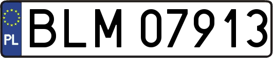 BLM07913