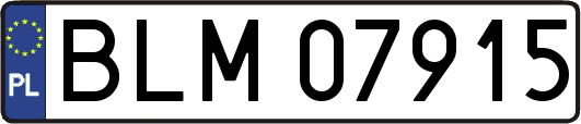 BLM07915