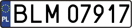 BLM07917
