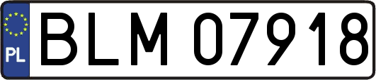 BLM07918