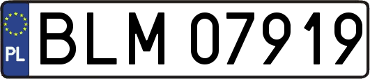 BLM07919