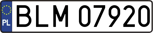 BLM07920