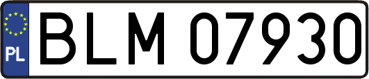 BLM07930