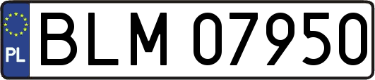 BLM07950