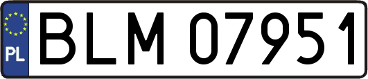BLM07951