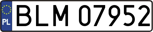 BLM07952