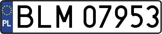 BLM07953
