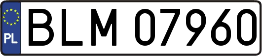 BLM07960