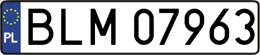 BLM07963