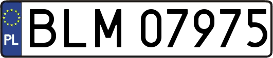 BLM07975
