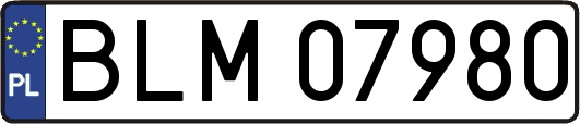 BLM07980