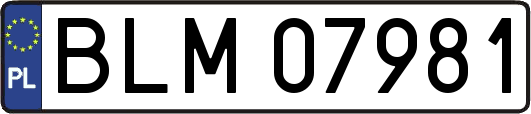 BLM07981