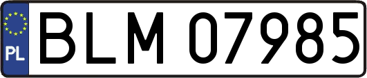 BLM07985