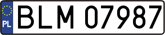 BLM07987