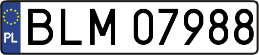 BLM07988