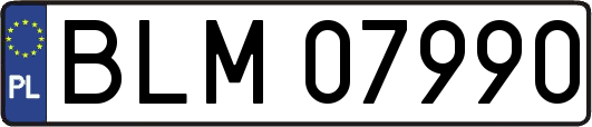 BLM07990